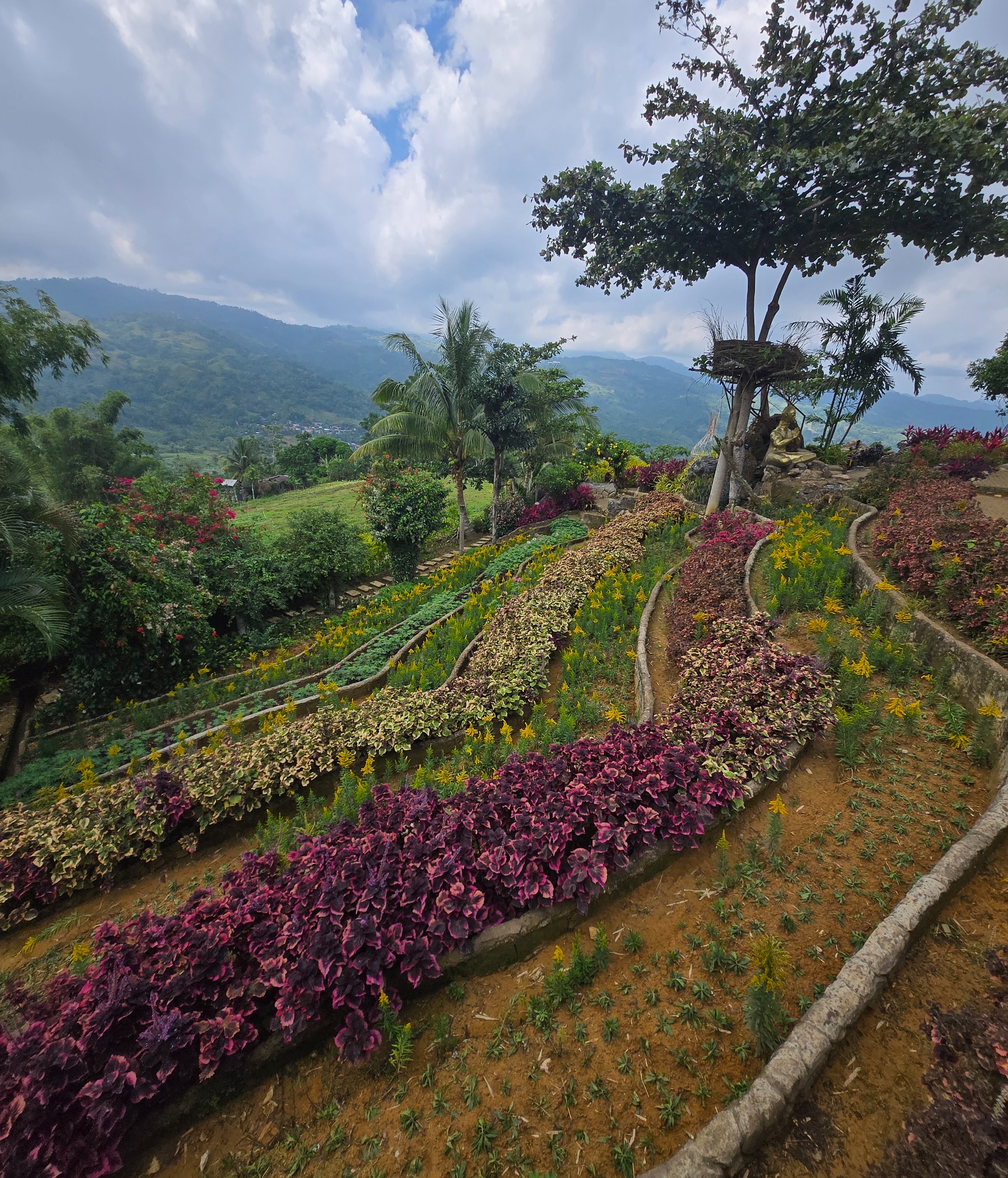 Terraced gardens and mountains in Cebu